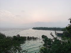 -上海市保健医疗中心