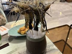 -阿杜打边炉(五江天街店)