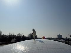-荷兰花海