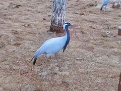 -鄱阳湖国家湿地公园