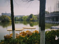 -荆川公园