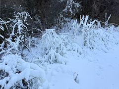-鳌山滑雪度假区