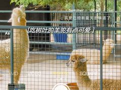 -宁波野生动物园