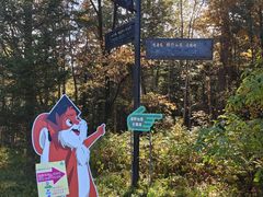 -五营红松林海景区