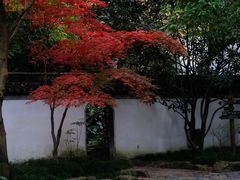 -秋霞圃