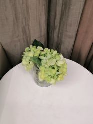 -上海玫瑰医疗美容医院