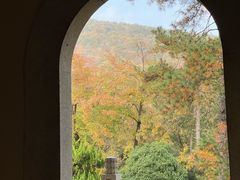 -灵谷景区