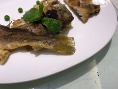 -一麦·龙岛(上海青浦店)