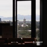 ✨深圳新店｜这家的窗口位一整个爱住💕