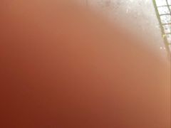 -文杏酒楼(一品天下店)