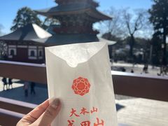 -成田山新胜寺