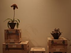 -茑屋书店(天目里店)