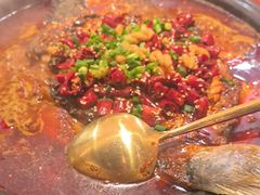 -探鱼·鲜青椒爽麻烤鱼(正佳广场店)