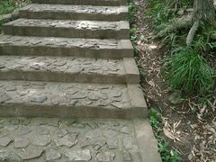 -上海佘山国家森林公园西佘山园