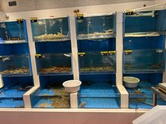 -赶海部落海鲜城(海阳路店)