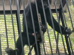 -广东茂名森林公园