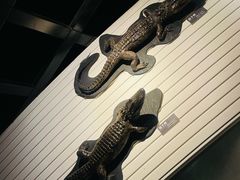 -昆明动物博物馆