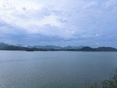 -浔味·山屿湖·正宗全鱼宴老字号