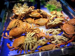 自助餐-热带雨林汗蒸馆(汶水东路店)