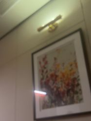 -娇莉芙美颜SPA连锁