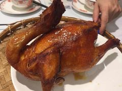 手撕童子烧土鸡-稻香酒家·35年老字号(侨光店)