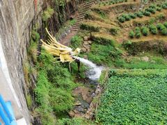 -磐安舞龙峡景区