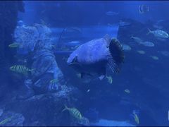 -太平洋海底世界