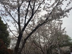 -堤角公园