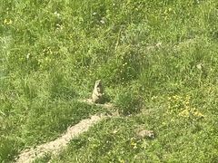 -黄河九曲第一湾