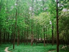 -河南省黄河迎宾馆