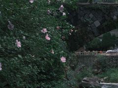 -林坑古村落