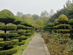 -洛阳市隋唐城遗址植物园