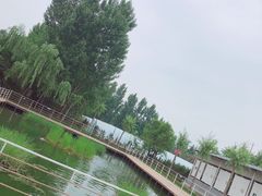-午后庭院