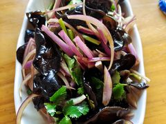 圆葱木耳-舜玉老孙家鲜炒大盘鸡(土屋路店)