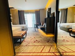 -新加坡瑞士史丹福酒店