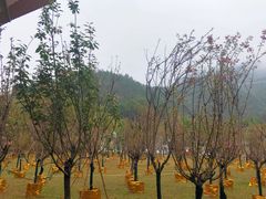 -南丹山森林王国