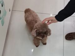 -全心全意连锁动物医院·微创中心·内科急重症·心脏专科(丰管路店)