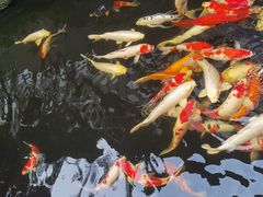 -聚福宝合苑食府(南头镇店)