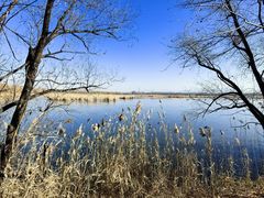 -野鸭湖国家湿地公园