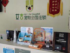 -艾吉宠物医院·疑难杂症转诊中心·猫友好(碧江路院)
