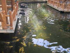 -南宫五洲植物乐园