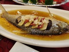 -新镇江酒家(南京西路店)