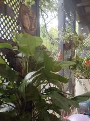 -金芙美月子中心(财富别墅店)