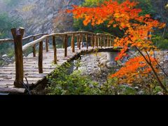 -大连天门山国家森林公园