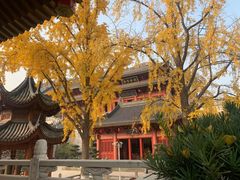 -上海东林寺(金山区)