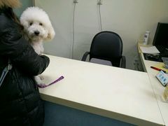 -美联众合动物医院·24h京西诊疗中心
