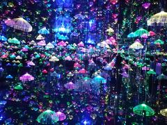 -迷斯伍德星空博物馆