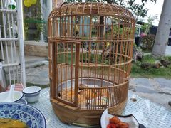 -花溪雨·森林餐厅(石基店)