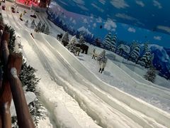 -世界之窗阿尔卑斯冰雪世界