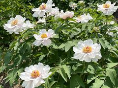 -江南大学(蠡湖校区)